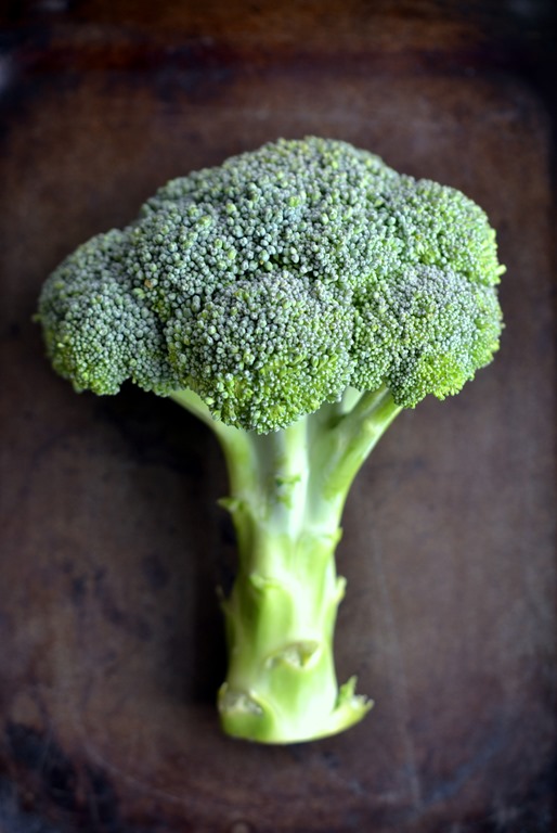 Broccoli- my favourite green vegetable! 