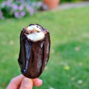 Chocolate-Coated Peanut Butter Banana Pops