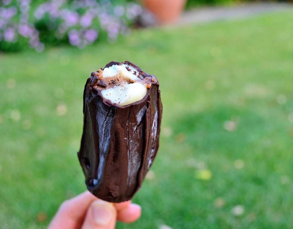 Chocolate-Coated Peanut Butter Pops
