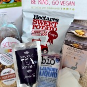 (Video) Review: The Vegan Kind Box