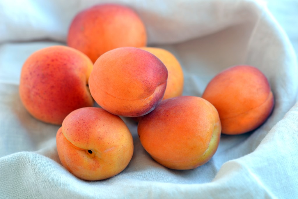 Fresh apricots 