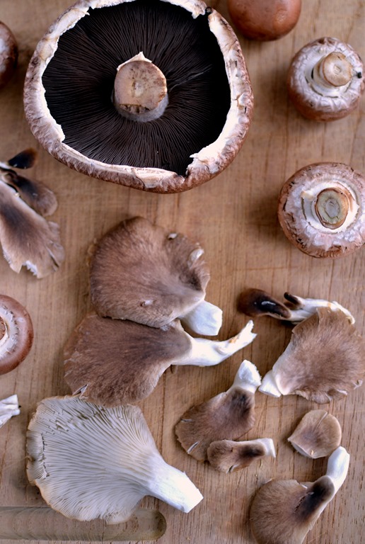 Mixed Mushrooms from the Mushroom Table